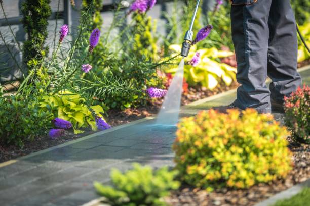 Best Soft Washing  in Somerset, NJ